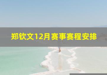 郑钦文12月赛事赛程安排