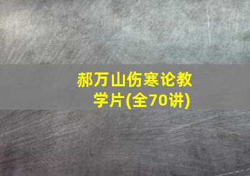 郝万山伤寒论教学片(全70讲)