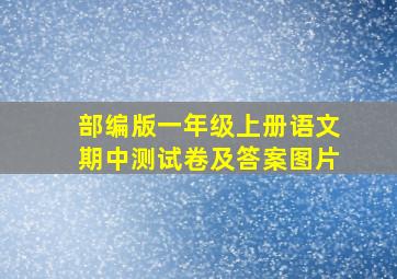 部编版一年级上册语文期中测试卷及答案图片