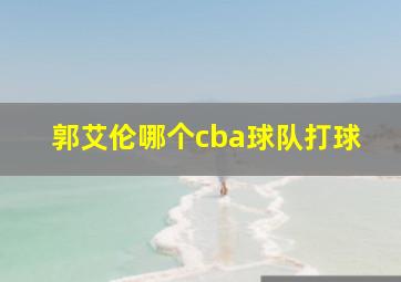 郭艾伦哪个cba球队打球