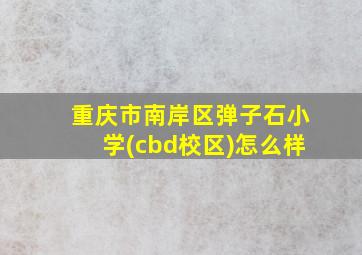 重庆市南岸区弹子石小学(cbd校区)怎么样