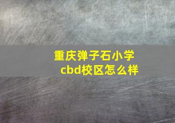 重庆弹子石小学cbd校区怎么样