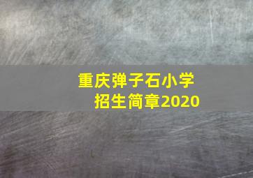 重庆弹子石小学招生简章2020