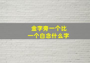 金字旁一个比一个白念什么字