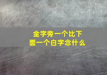 金字旁一个比下面一个白字念什么