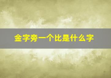 金字旁一个比是什么字