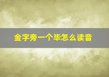 金字旁一个毕怎么读音