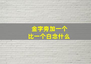 金字旁加一个比一个白念什么