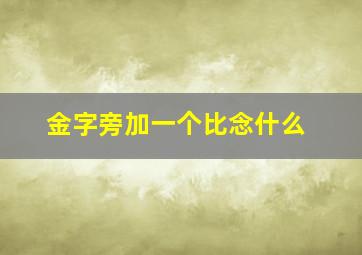 金字旁加一个比念什么