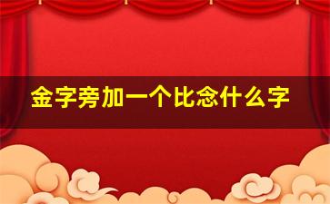 金字旁加一个比念什么字