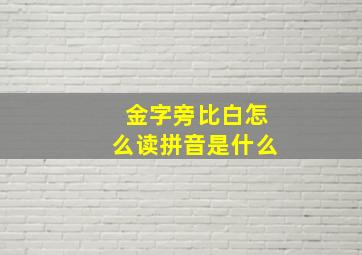 金字旁比白怎么读拼音是什么