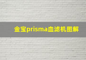 金宝prisma血滤机图解