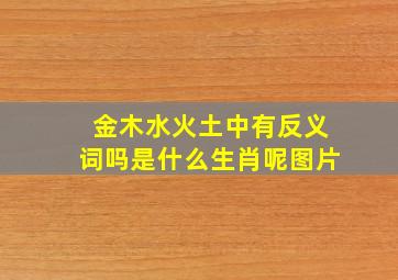 金木水火土中有反义词吗是什么生肖呢图片