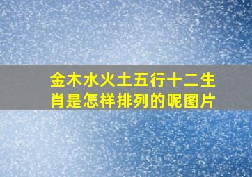 金木水火土五行十二生肖是怎样排列的呢图片