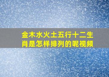 金木水火土五行十二生肖是怎样排列的呢视频