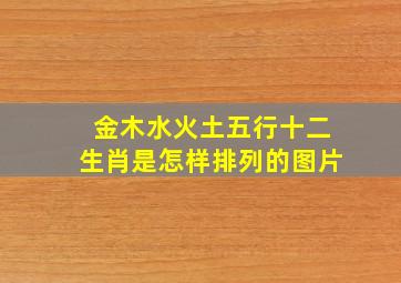 金木水火土五行十二生肖是怎样排列的图片