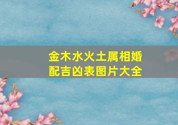 金木水火土属相婚配吉凶表图片大全