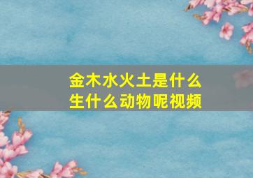 金木水火土是什么生什么动物呢视频