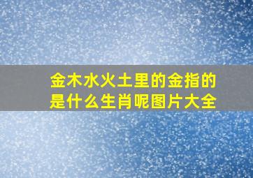 金木水火土里的金指的是什么生肖呢图片大全