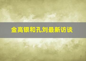 金高银和孔刘最新访谈