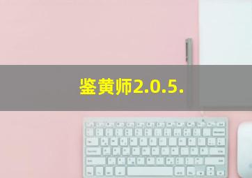 鉴黄师2.0.5.