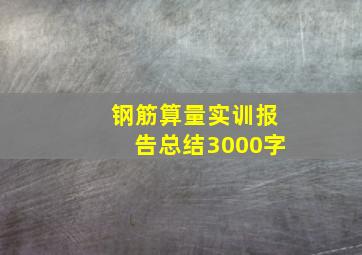 钢筋算量实训报告总结3000字