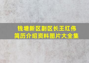 钱塘新区副区长王红伟简历介绍资料图片大全集