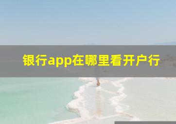 银行app在哪里看开户行