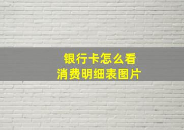 银行卡怎么看消费明细表图片