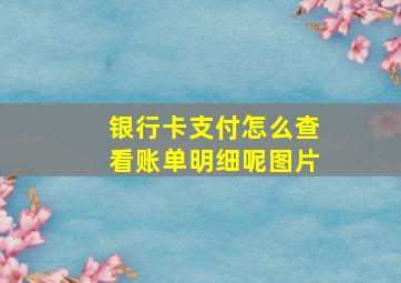 银行卡支付怎么查看账单明细呢图片