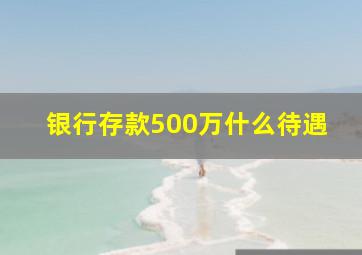 银行存款500万什么待遇