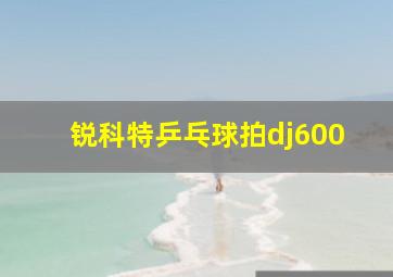 锐科特乒乓球拍dj600