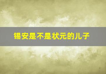 锡安是不是状元的儿子