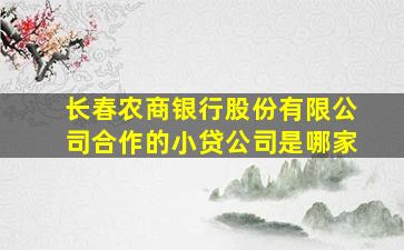 长春农商银行股份有限公司合作的小贷公司是哪家