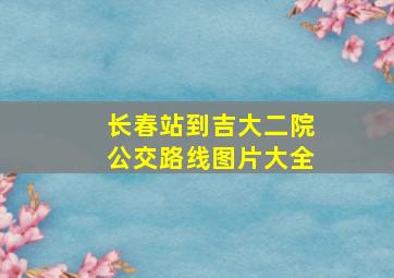 长春站到吉大二院公交路线图片大全