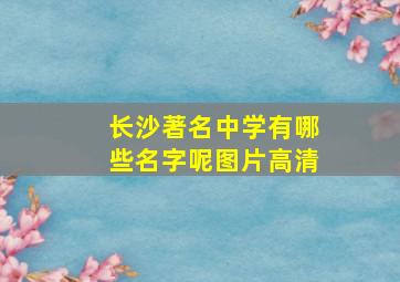 长沙著名中学有哪些名字呢图片高清