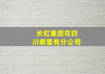 长虹集团在四川哪里有分公司