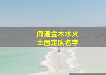 问道金木水火土固定队名字