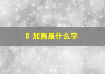 阝加禺是什么字