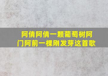 阿倩阿倩一颗葡萄树阿门阿前一棵刚发芽这首歌