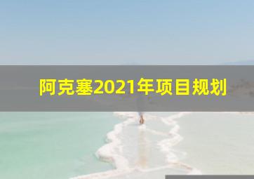 阿克塞2021年项目规划