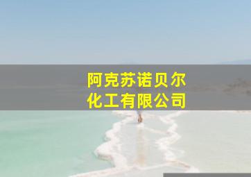 阿克苏诺贝尔化工有限公司