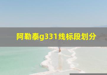 阿勒泰g331线标段划分