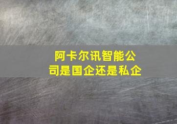 阿卡尔讯智能公司是国企还是私企