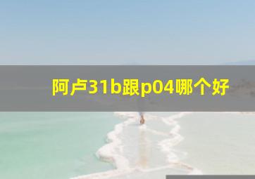 阿卢31b跟p04哪个好