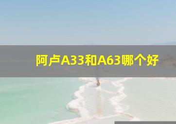 阿卢A33和A63哪个好