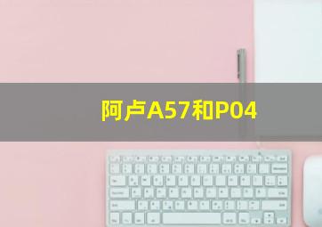 阿卢A57和P04