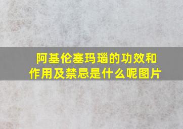 阿基伦塞玛瑙的功效和作用及禁忌是什么呢图片