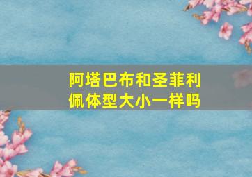 阿塔巴布和圣菲利佩体型大小一样吗