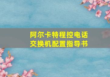 阿尔卡特程控电话交换机配置指导书